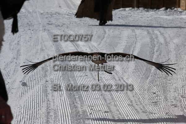 ET0Q0757 prot